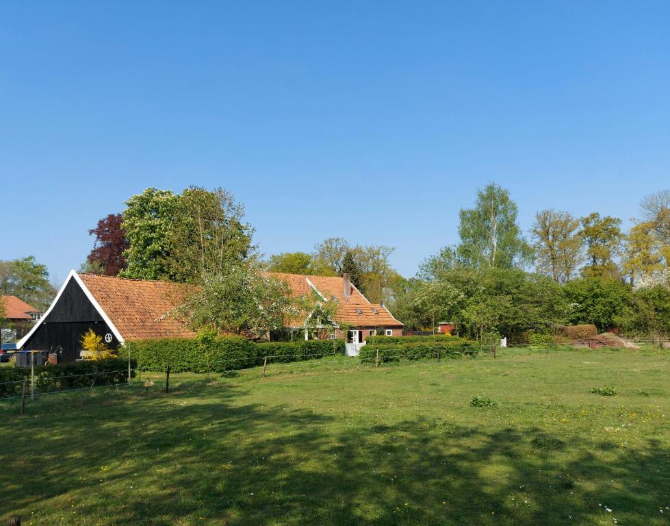 a group of houses in a grassy field with trees at Klein Ni'jenhoes in Winterswijk