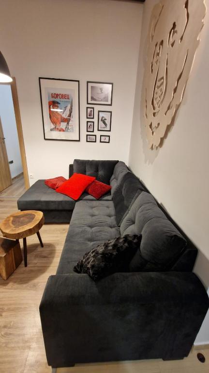 Borovets Holiday Homes - Apartamento Superior