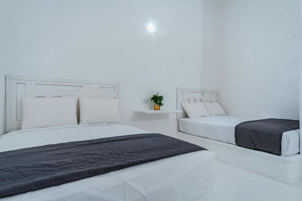 Duas camas num quarto com paredes brancas em Italia Estación Hotel, Merida em Mérida