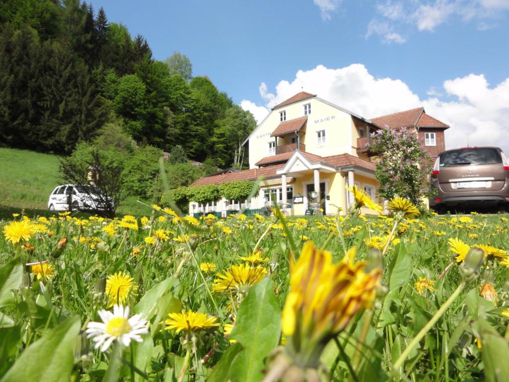 un campo de flores frente a una casa en Familiengasthof Maier en Mautern in Steiermark