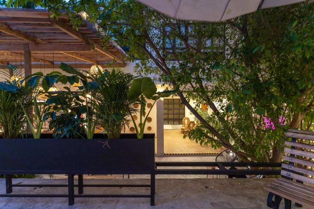 Zahrada ubytování Soy Local Santa Marta