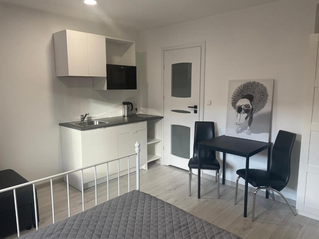 Kuchyň nebo kuchyňský kout v ubytování Apartamenty Wisła Centrum