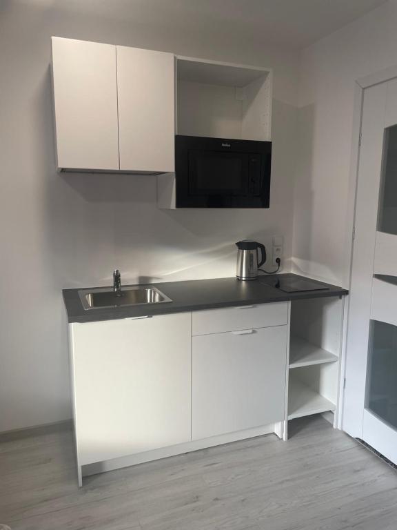 Kuchyň nebo kuchyňský kout v ubytování Apartamenty Wisła Centrum