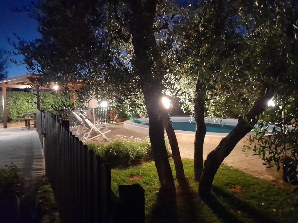 Bazén v ubytování Podere Il Leccione nebo v jeho okolí
