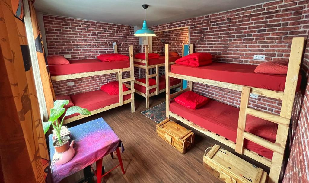 Postel nebo postele na pokoji v ubytování Lola backpacker's Hostel