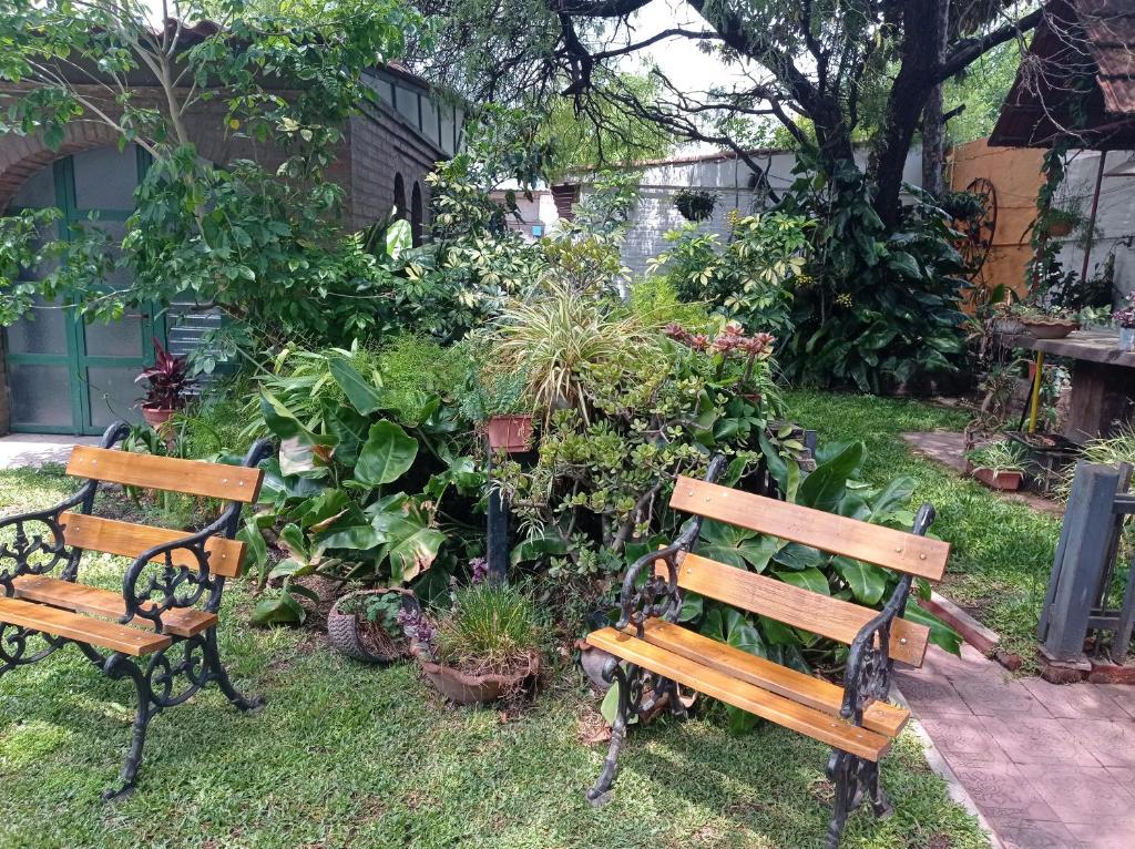 dos bancos de madera sentados en un jardín con plantas en Hermosa casa con parque en Córdoba