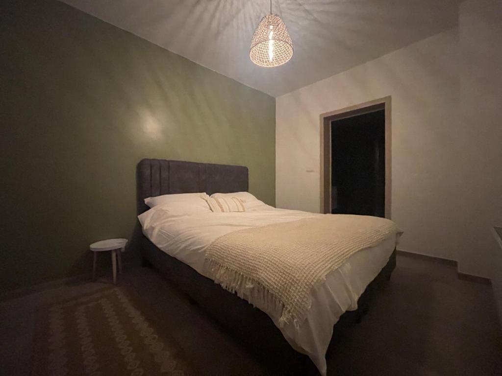 een slaapkamer met een bed en een hanglamp bij Zen Ô Spa in Charleroi