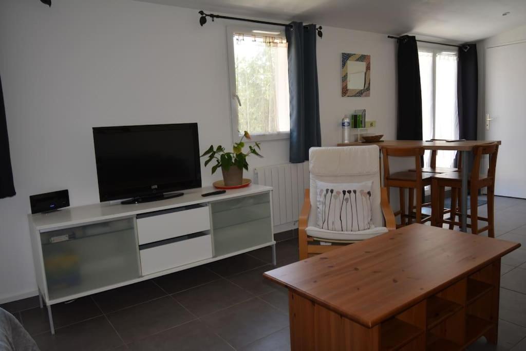 Televízia a/alebo spoločenská miestnosť v ubytovaní Grand studio indépendant avec jardin