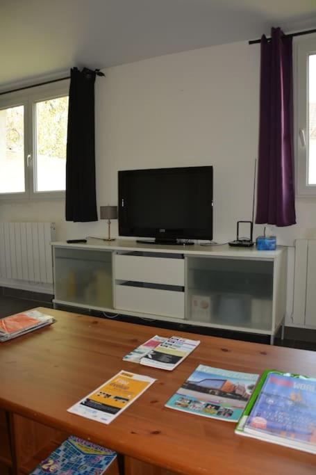 Televízia a/alebo spoločenská miestnosť v ubytovaní Grand studio indépendant avec jardin