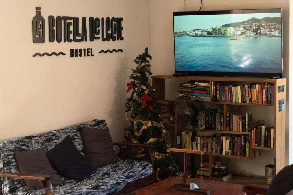 TV a/nebo společenská místnost v ubytování Hostel La Botella de Leche - Tamarindo