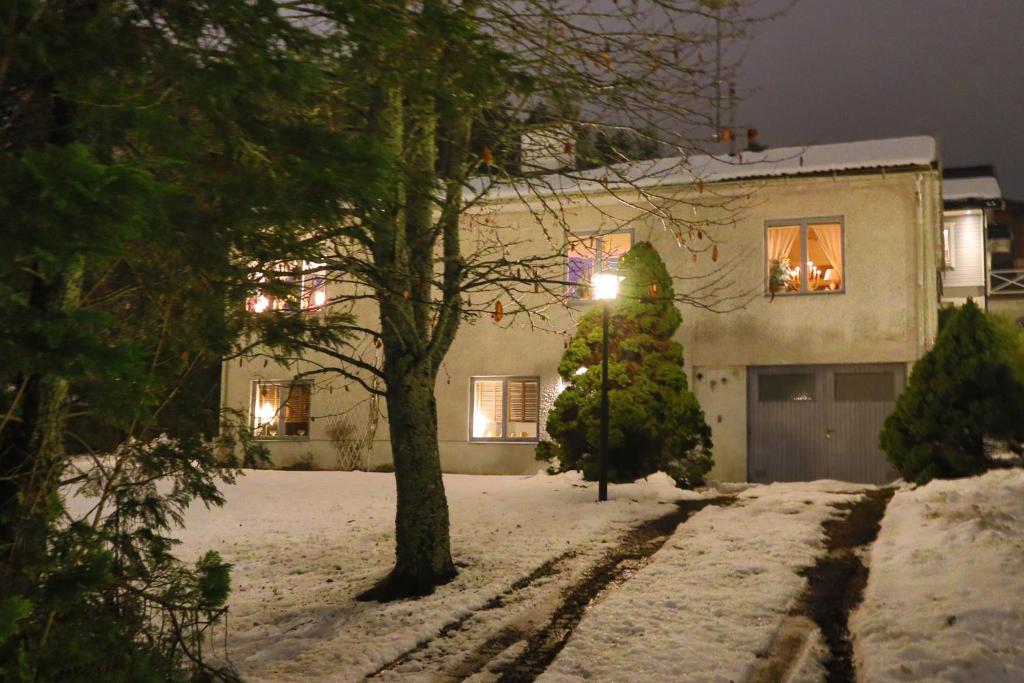 Göte`s B&B v zimě