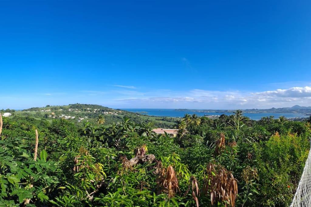 a view of the ocean from the top of a forest at Zowanj 1 - Logement avec vue panoramique in Le Robert