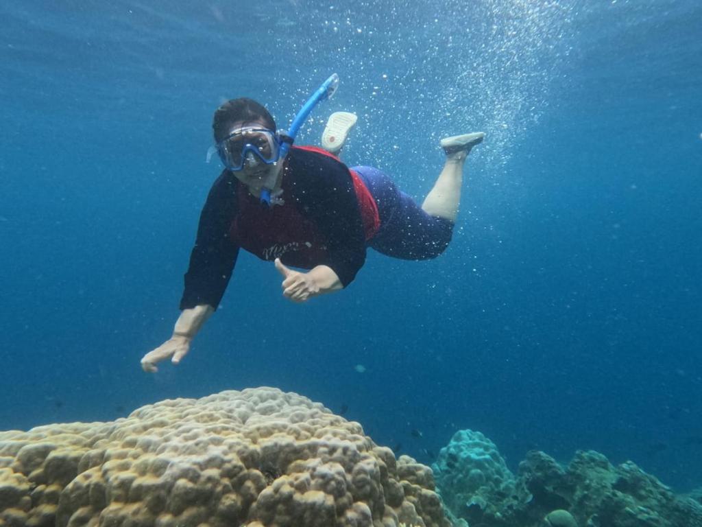 a person is diving over a coral reef at FRANGKY HOMESTAY in Manado