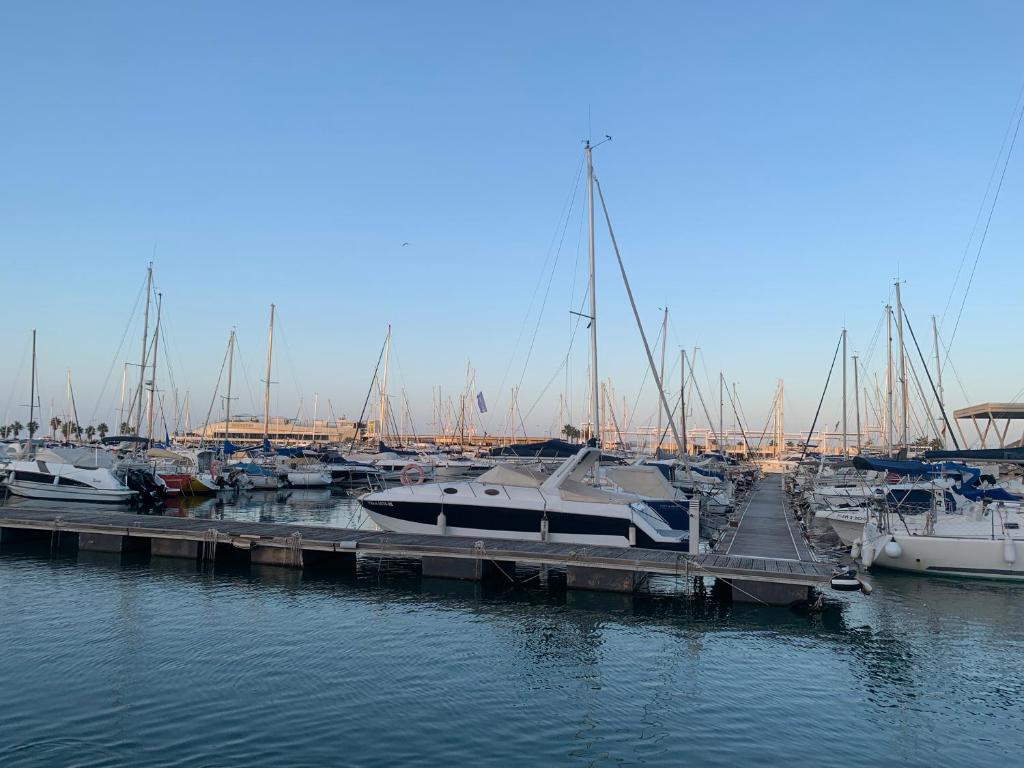 un grupo de barcos atracados en un puerto deportivo en Apartamento con encanto cerca del mar, en Denia