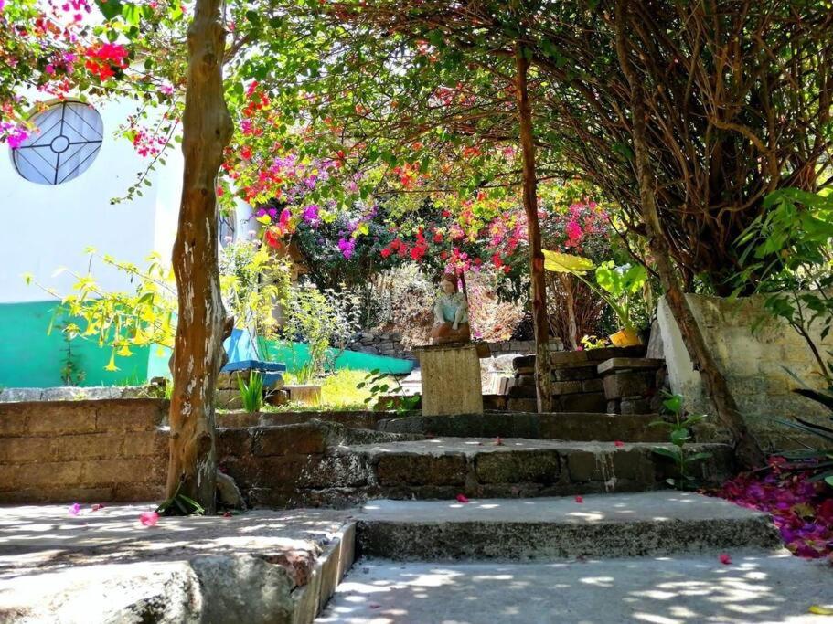 a garden with flowers and a fountain and trees at Casa Don Rubén in Malinalco