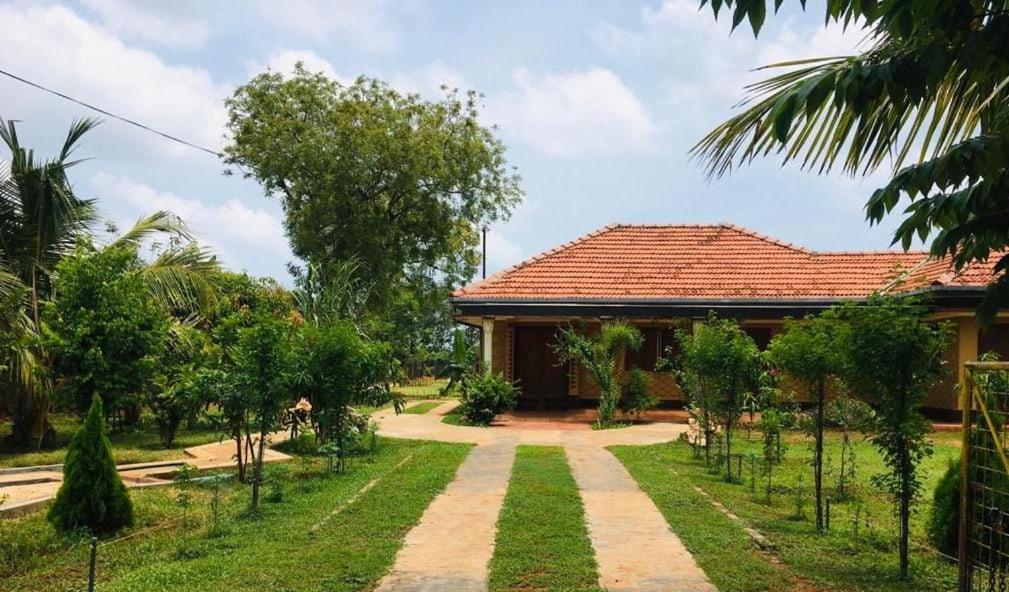 a house with a pathway in front of it at Aache Veedu Farm House in Jaffna