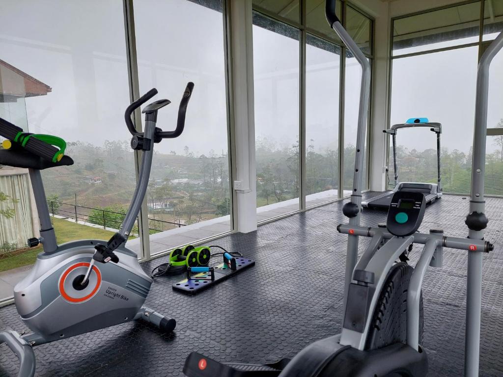Fitness centrum a/nebo fitness zařízení v ubytování Harrington Heritage