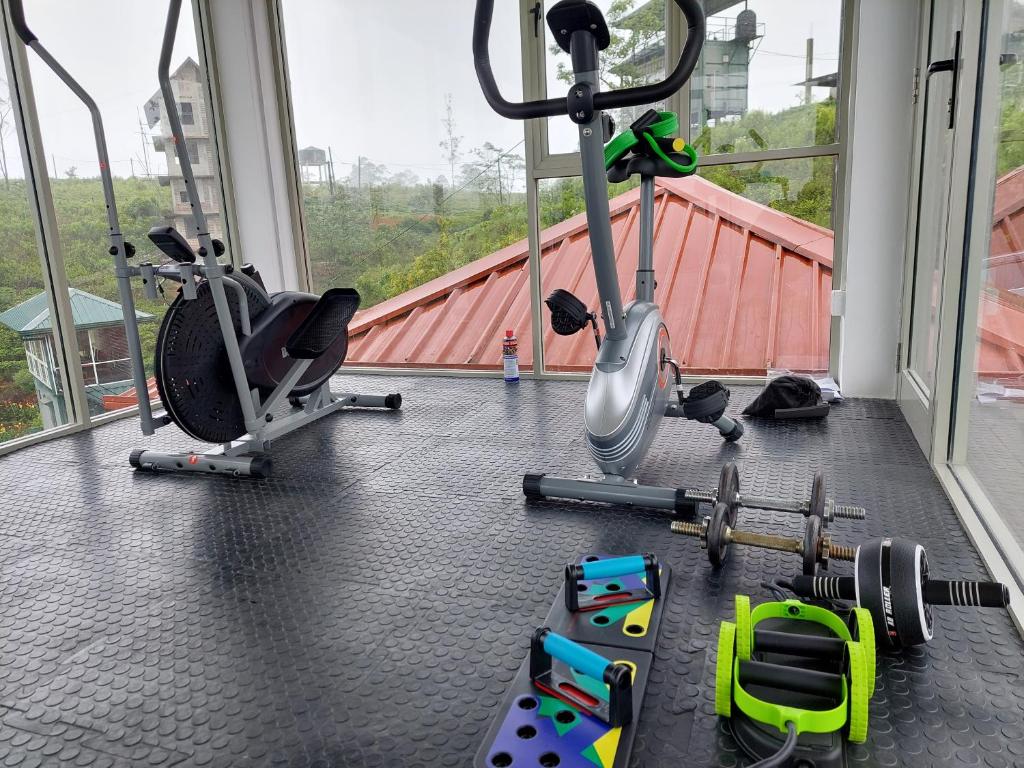 Fitness centrum a/nebo fitness zařízení v ubytování Harrington Heritage