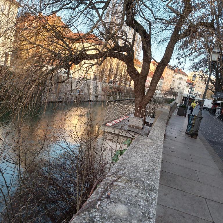 Výhled na řeku, která protéká v blízkosti hotelu