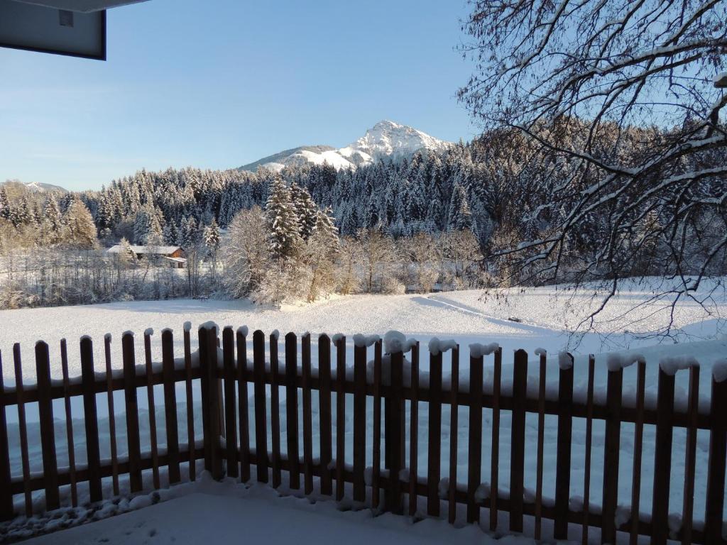 Príroda v okolí apartmánu