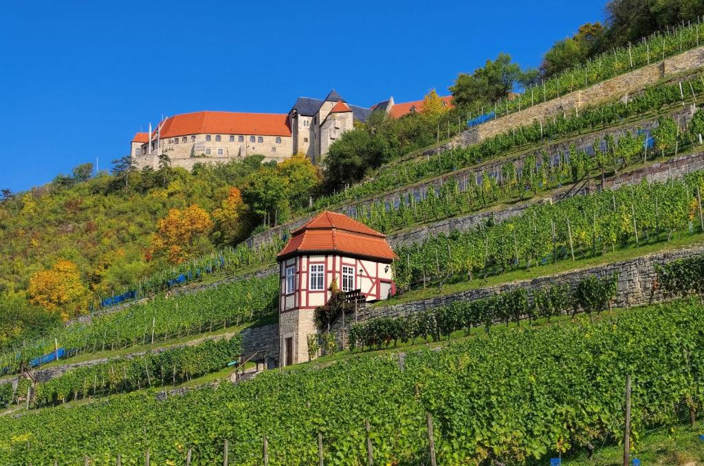 un bâtiment situé sur le flanc d'une colline plantée de vignes dans l'établissement Apartmenthaus Schlag, à Naumbourg