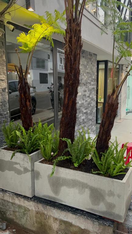 Vườn quanh LE CIMENT - Apartment Hotel