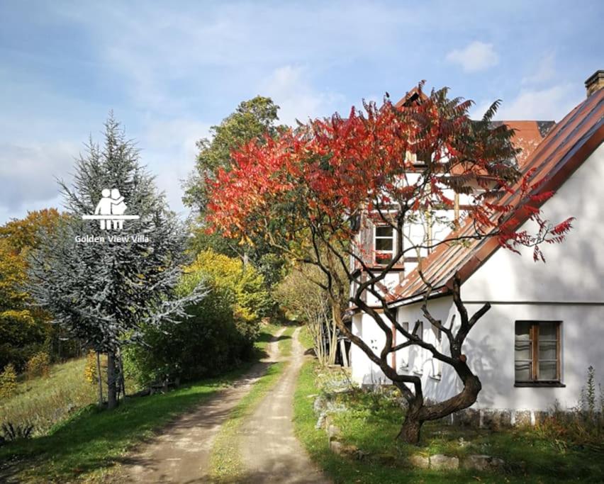 a tree with red leaves next to a white house at Golden View Villa - Great place for vacations in Przesieka