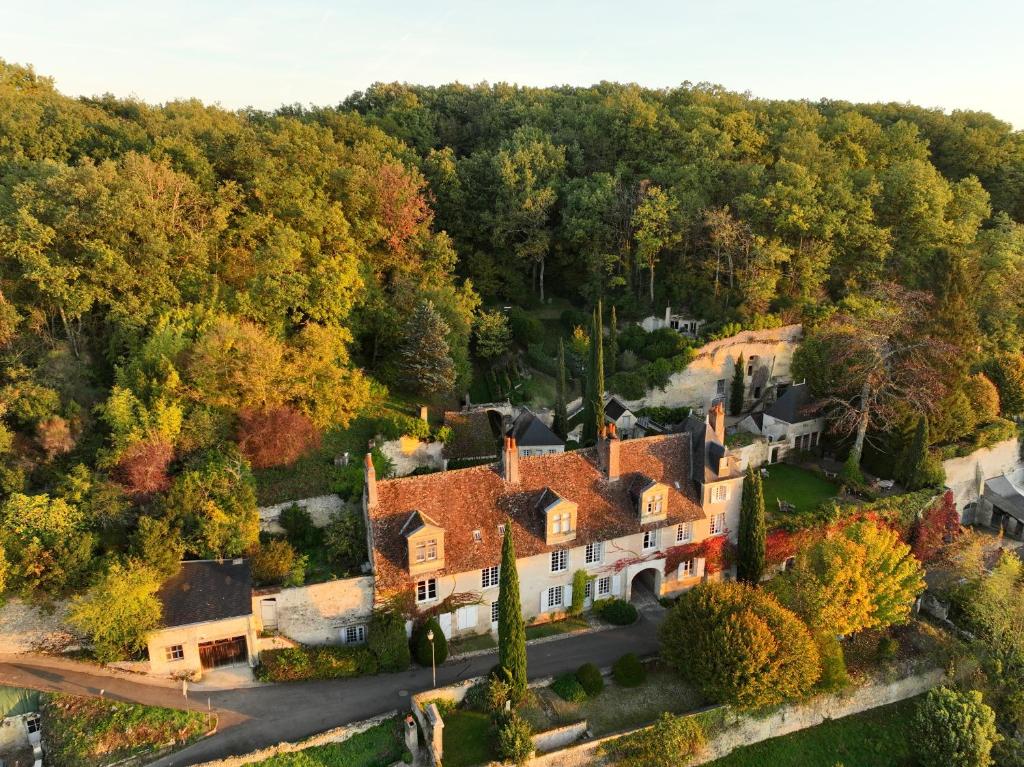 z góry widok na dom w lesie w obiekcie Château de Nazelles Amboise w mieście Nazelles