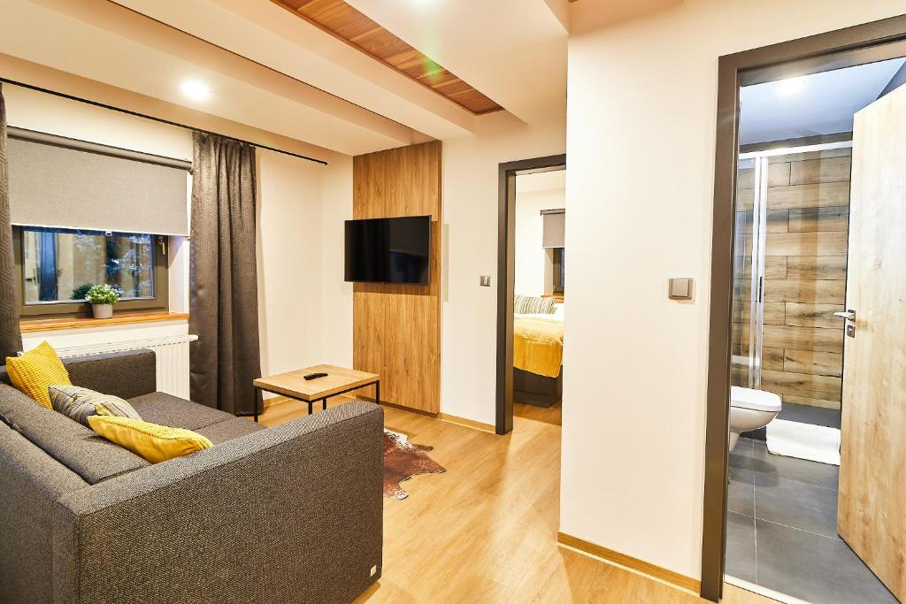 TV a/nebo společenská místnost v ubytování Apartmány Výsluní