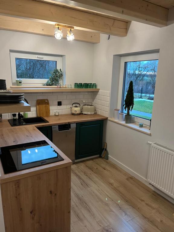 Domki Pod Brzozami Ustroń 2 - Two-Bedroom Chalet