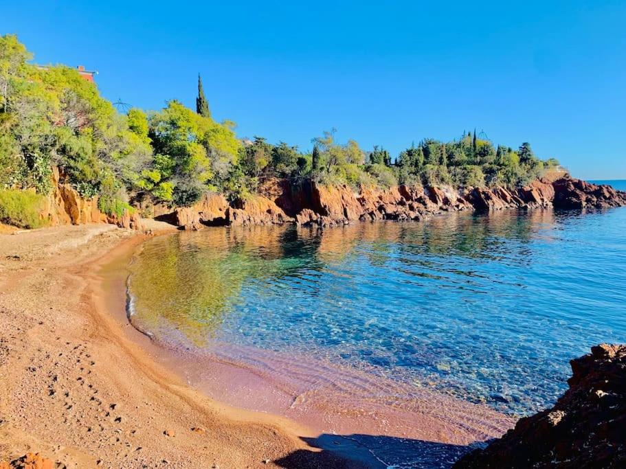 une plage de sable avec des arbres et l'eau dans l'établissement Superbe 6 couchages - Proche mer - Climatisation, à Saint-Raphaël