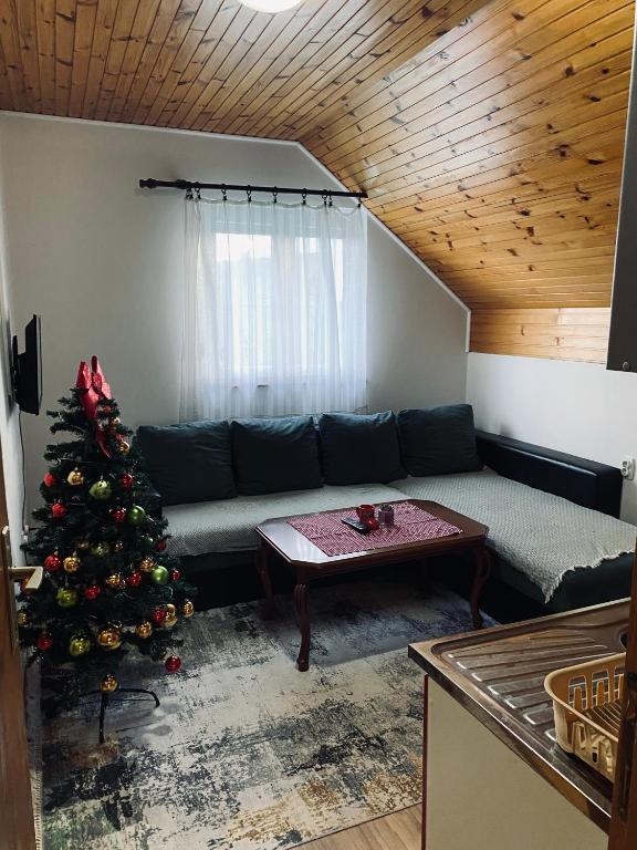 Apartments Anđela - 1