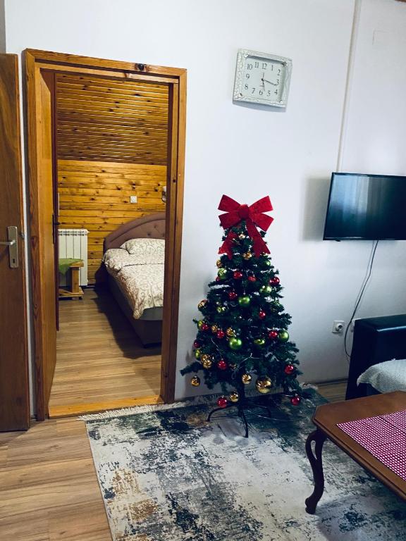 Apartments Anđela - 2