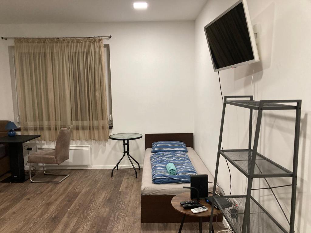 Televízia a/alebo spoločenská miestnosť v ubytovaní Roland Apartment Zuglo 2