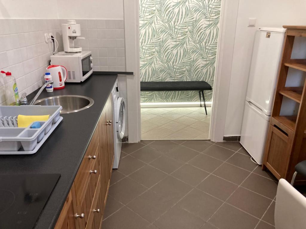 Kuchyňa alebo kuchynka v ubytovaní Roland Apartment Zuglo 2