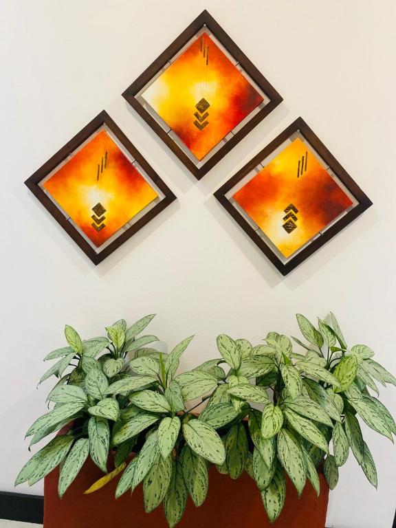 Fotografie z fotogalerie ubytování Hotel Marbella Chico v destinaci Bogotá