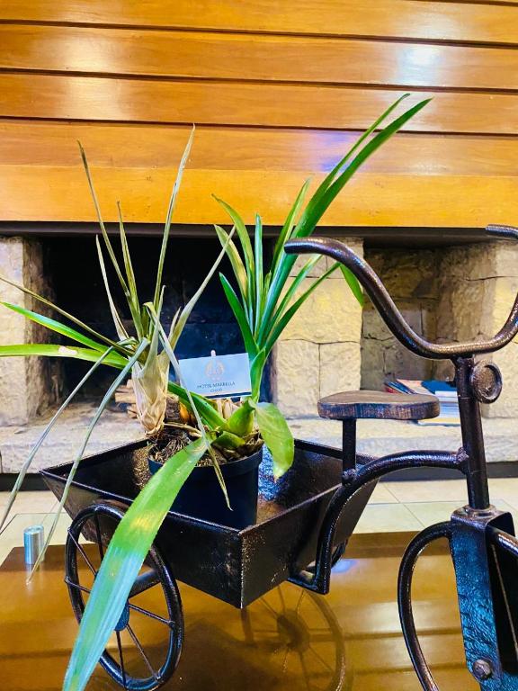 Fotografie z fotogalerie ubytování Hotel Marbella Chico v destinaci Bogotá