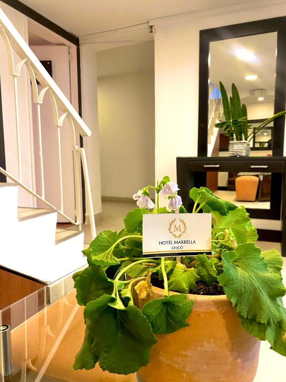 Fotografie z fotogalerie ubytování Hotel Marbella Chico v destinaci Bogotá