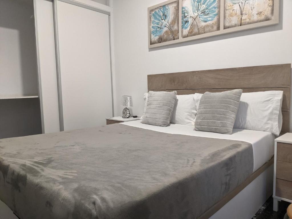 1 dormitorio con 1 cama grande y 2 almohadas en Pension Susita, en Alicante