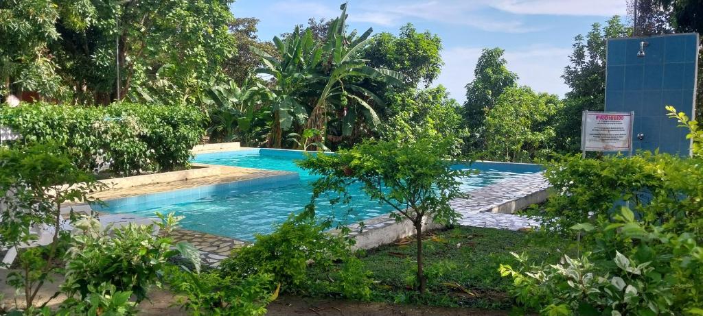 a swimming pool in the middle of a garden at Hotel Cabañas Casita La Ermita in San Carlos