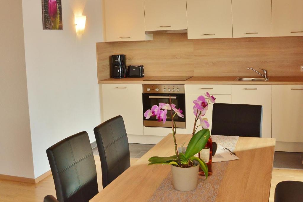 Kuchyň nebo kuchyňský kout v ubytování Appartement Schneekristall