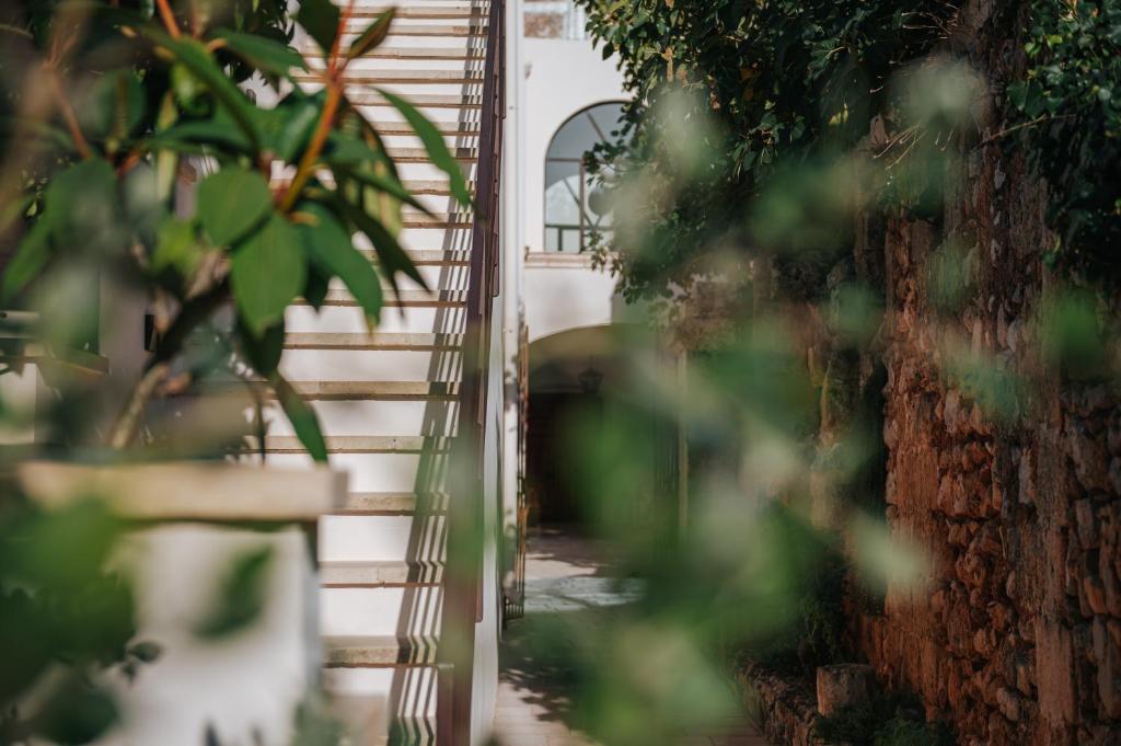 A garden outside PALAZZO FRANGIPANE
