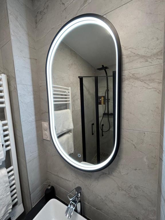 a bathroom mirror on a wall with a sink at Studio calme &amp; lumineux, vue sur le jardin, WIFI in Paris