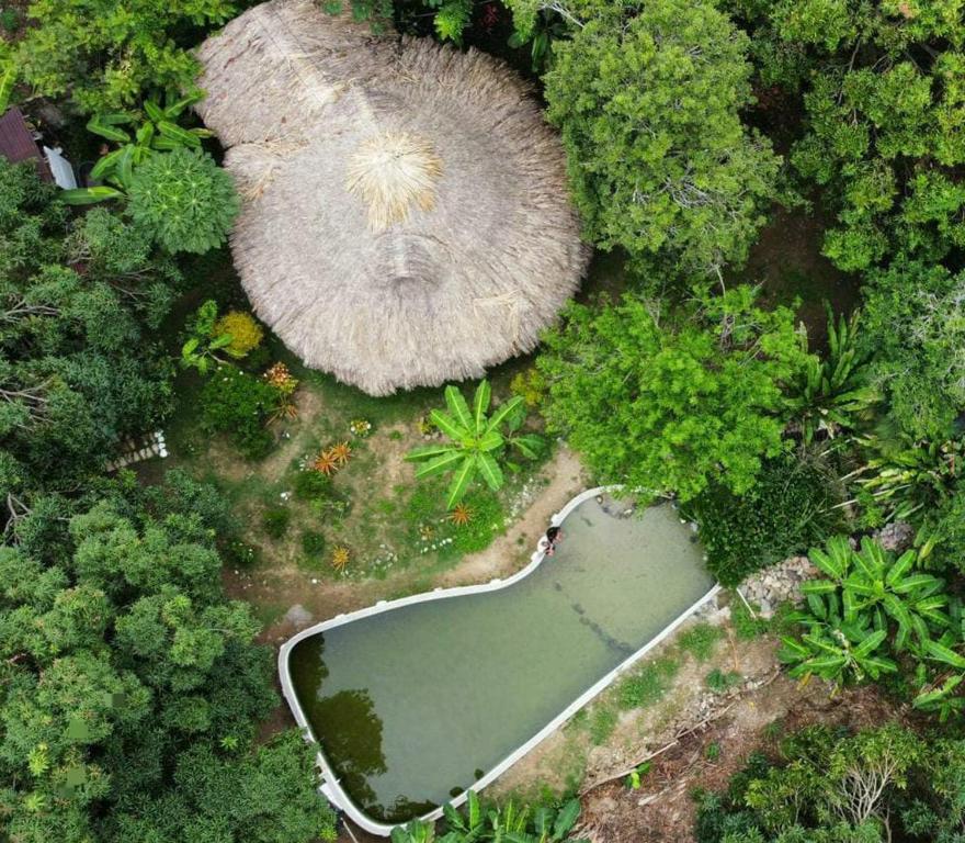 an aerial view of a pond in a forest at Finca Los Mangos in Palomino