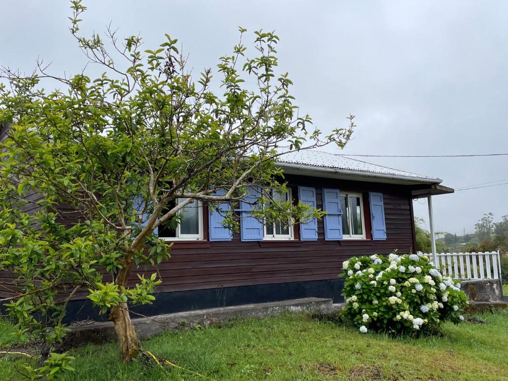 ein kleines Haus mit einem Baum davor in der Unterkunft Chez KAKINE in La Plaine des Palmistes