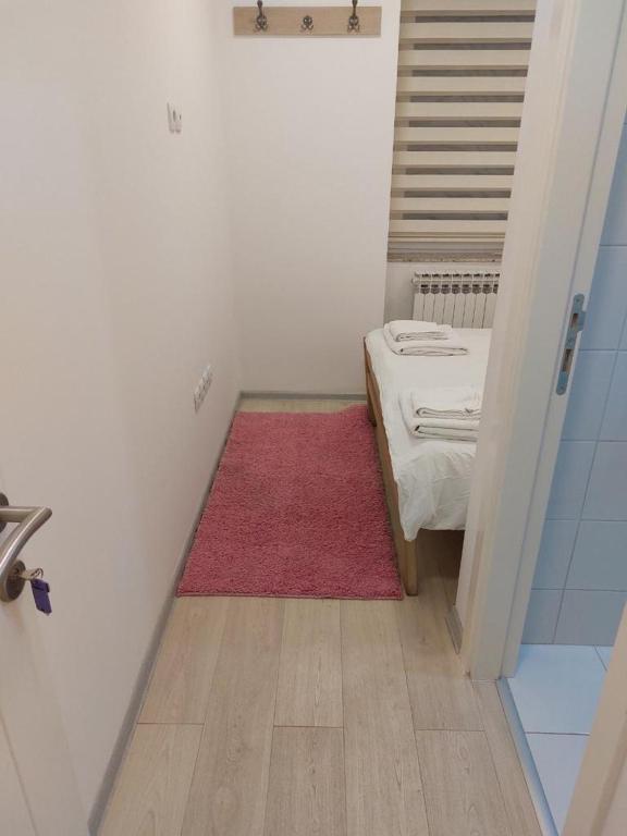 Anal Girl in Sarajevo