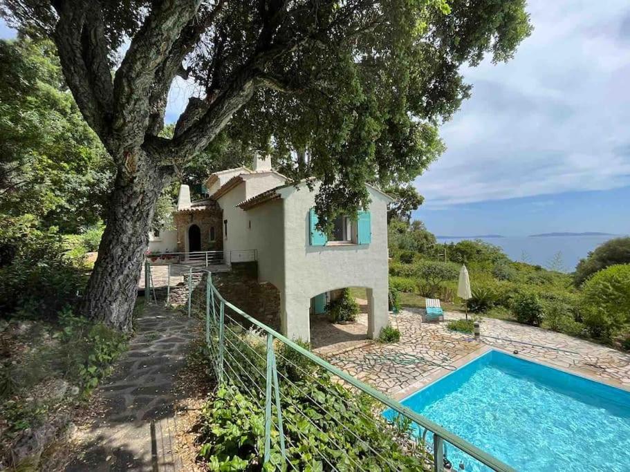 a house with a tree and a swimming pool at Villa „Sorbier“ mit Pool/ Meerblick an Côte d’Azur in Rayol-Canadel-sur-Mer