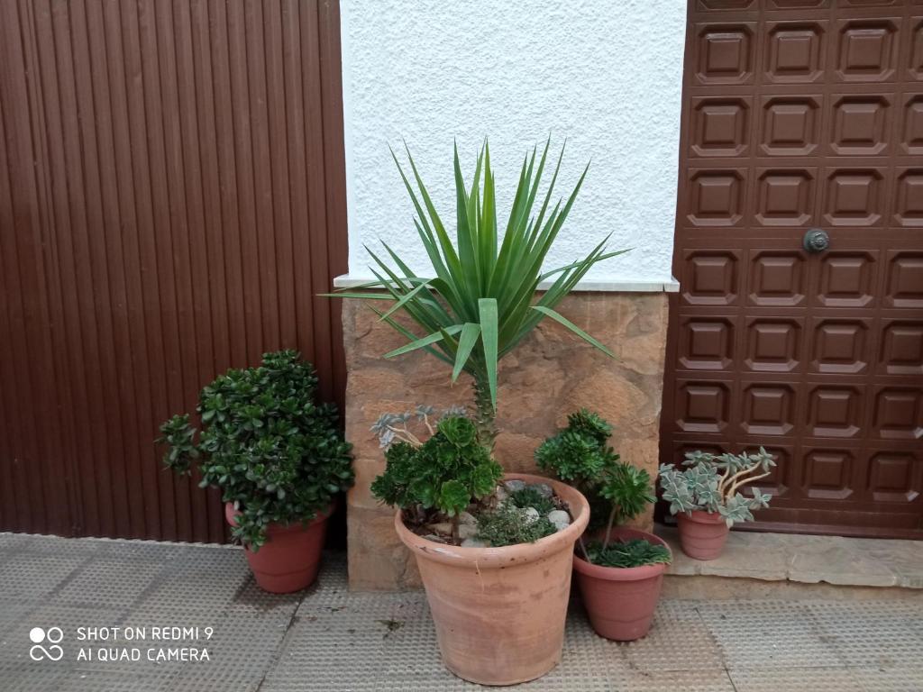 Fotografie z fotogalerie ubytování Apartamentos Virgen de Villaverde v destinaci Ardales