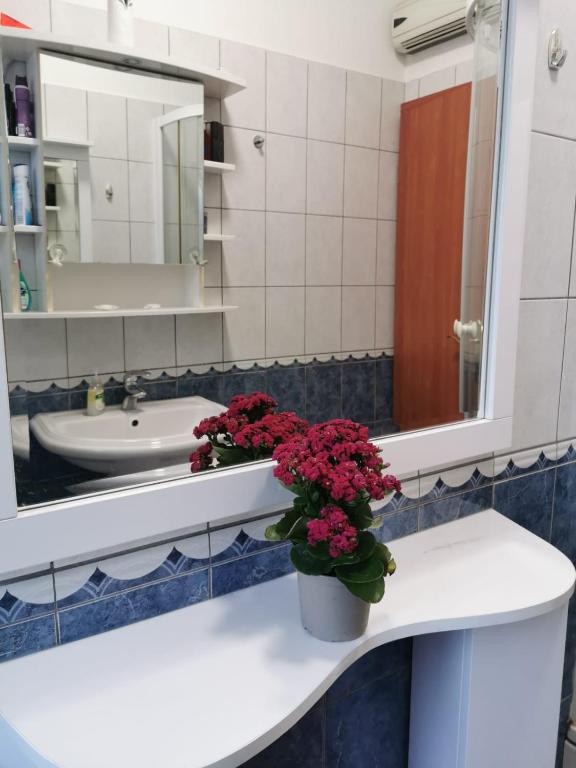 Fotografia z galérie ubytovania Sea view house Runjini dvori v destinácii Dobropoljana