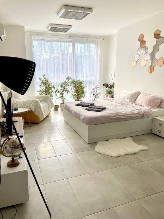 Felicity Super Central Apartment - Studio Apartment